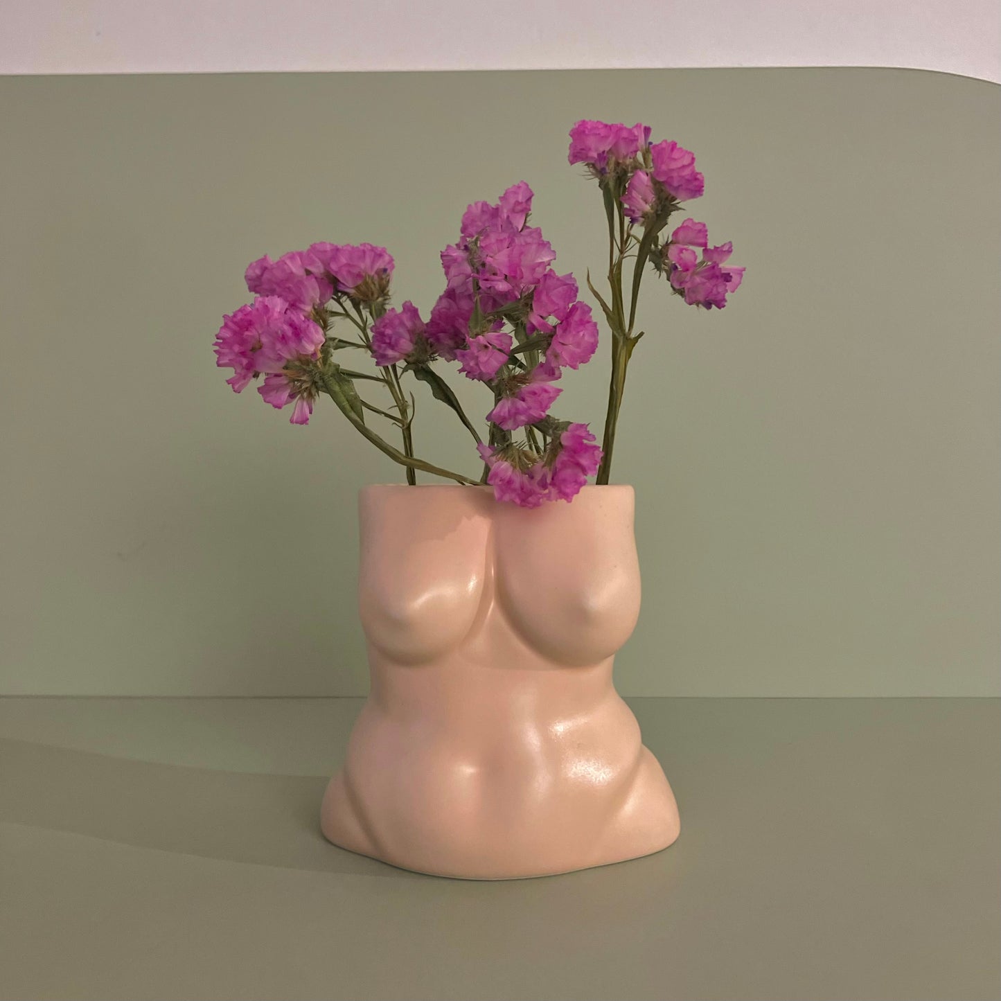 Boobyramic