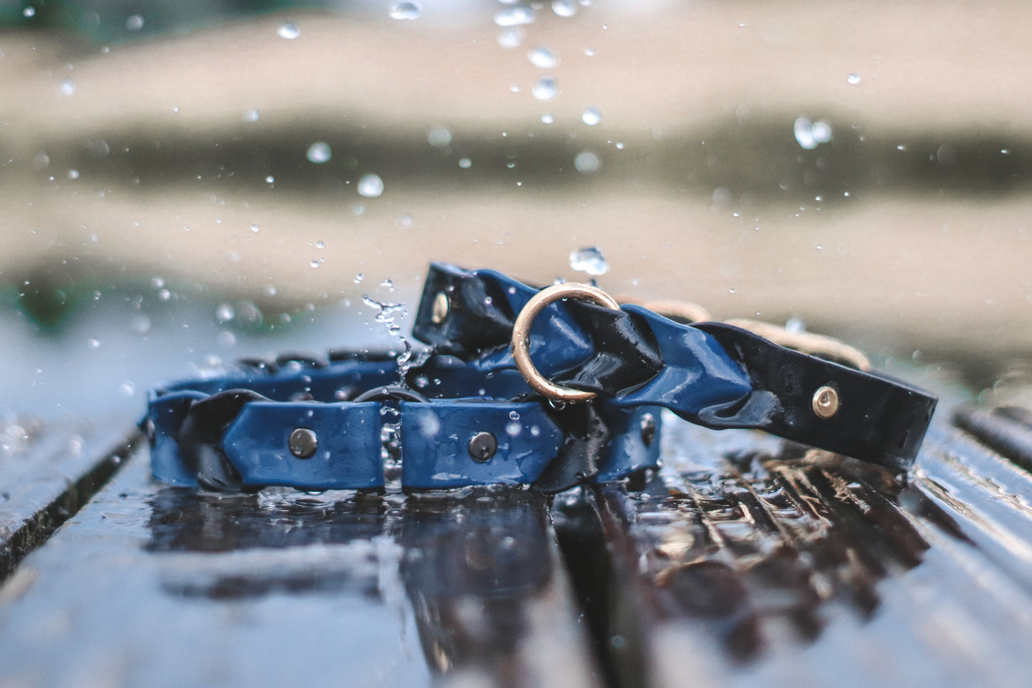 Handgemaakt met liefde: Creëer jouw eigen VEGAN-hondenhalsband! 22 november